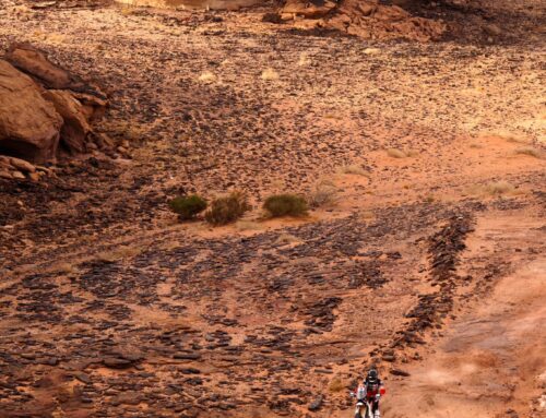 Rajd Dakar: Adam Kuś 7., a Konrad Dąbrowski 15. na czwartkowym etapie! Awans Biało-Czerwonych w klasyfikacji generalnej!